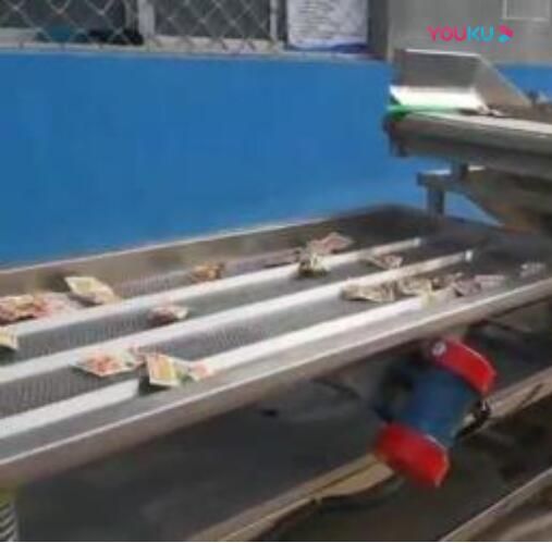 果蔬清洗风干流水线 酱菜包装袋清洗风干流水线设备